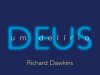 Deus, um Delírio - Richard Dawkins