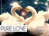 Pure Love 2 (2013)