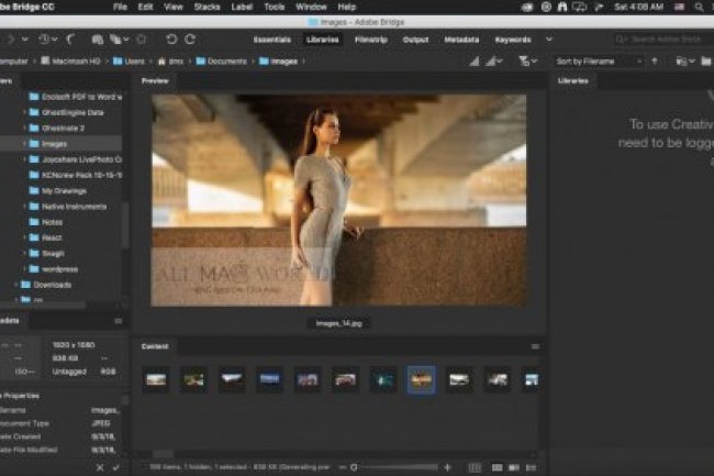 Adobe Bridge 2025 v15.1.1.729 Multilingual