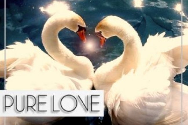 Pure Love 2 (2013)