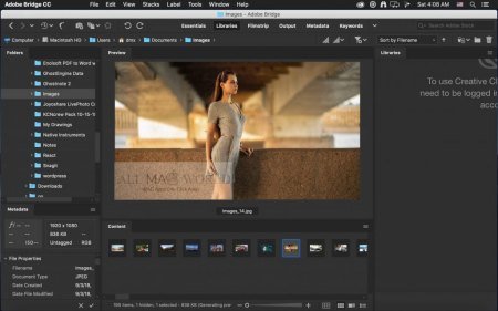 Adobe Bridge 2024 v14.0.4.222 Multilingual