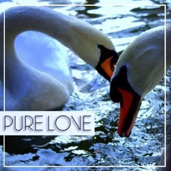 Pure Love (2012)