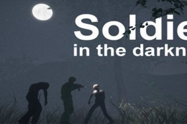 Soldier in the darkness