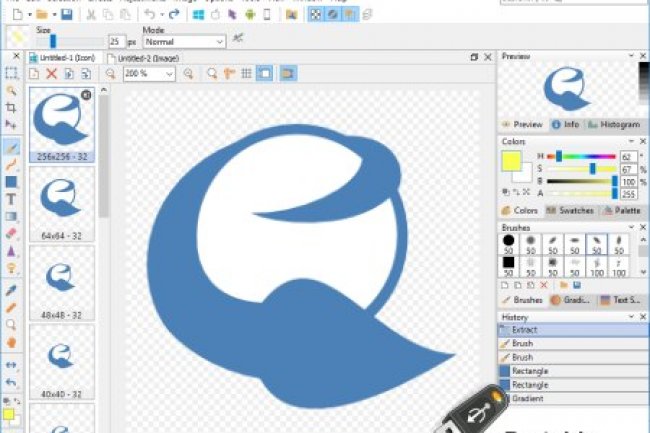 IcoFX v3.8.0 + Portable