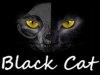 Black Cat