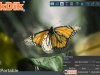 DikDik 4.6.0.0 + Portable