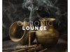 Organic Lounge Vol. 2 (2021)