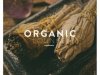 Organic Lounge Vol. 1 (2020)