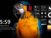 Omnimo 10.0.4