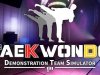 Taekwondo Demonstration Team Simulator