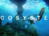 Ecosystem