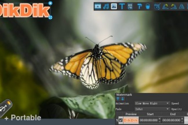 DikDik 4.6.0.0 + Portable