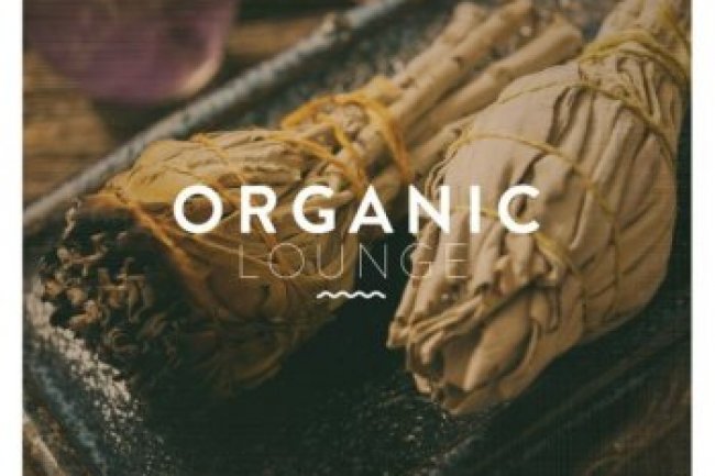 Organic Lounge Vol. 1 (2020)