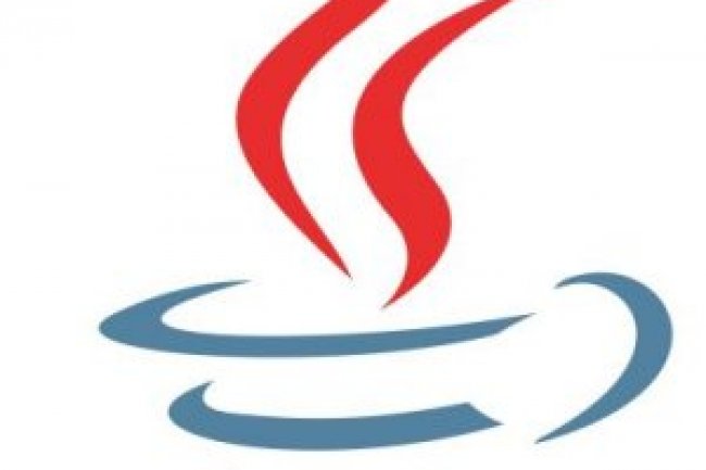 Java SE Development Kit v25.0.1