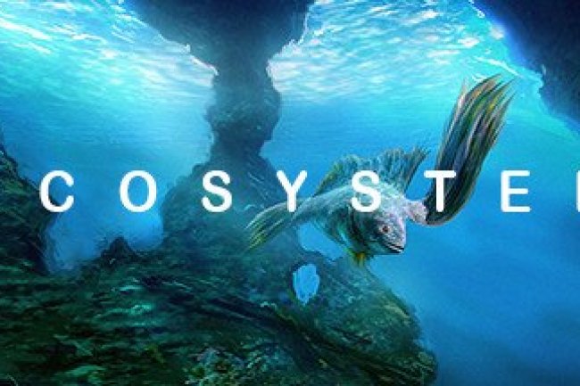 Ecosystem