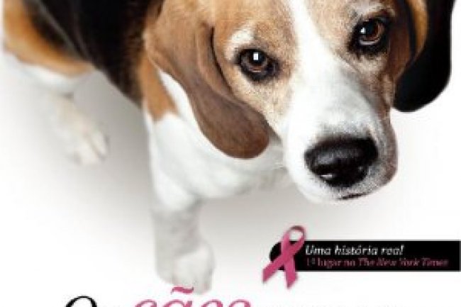 Os Cães Nunca Deixam de Amar - Teresa J. Rhyne