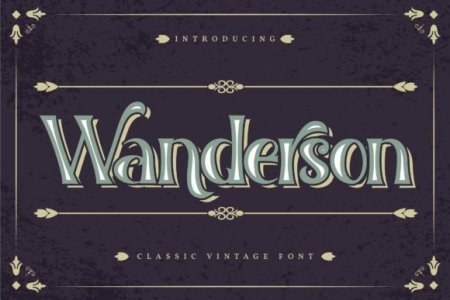 Wanderson Font