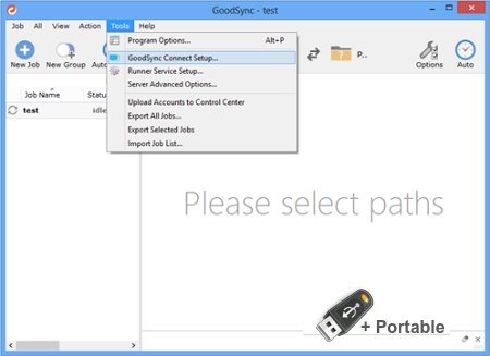 GoodSync Enterprise v12.5.9.9 + Portable