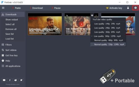 FlixGrab v5.3.12.120 + Portable