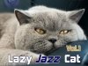 Lazy Jazz Cat Vol.1 (2021)
