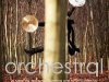 Orchestral - O Som da Música Clássica em Outros Ritmos (2012)