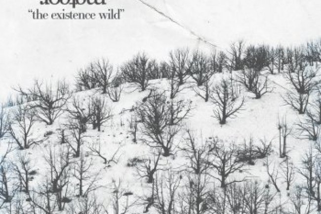 Hello Meteor - The Existence Wild (2020)