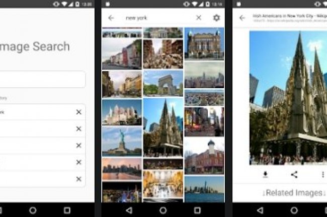 Image Search - ImageSearchMan v3.18 MOD [Premium Unlocked]