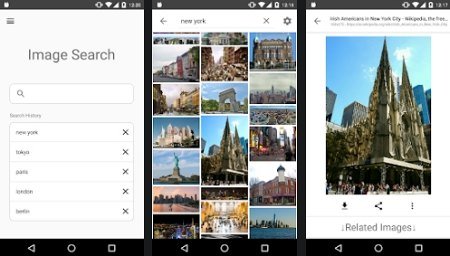Image Search - ImageSearchMan v2.64 [Mod]