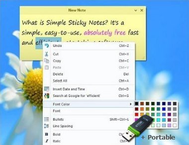 Simple Sticky Notes v6.2 + Portable