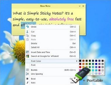 Simple Sticky Notes v6.4 + Portable