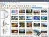 XnView v2.52.5 Complete + Portable