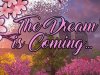 The Dream is Coming...
