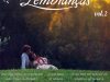 Lembranças - Vol. 2 [Top Tape] (1979)
