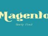 Magento Black Font