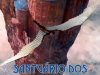 Santuário dos Ventos - George R. R. Martin & Lisa Tuttle