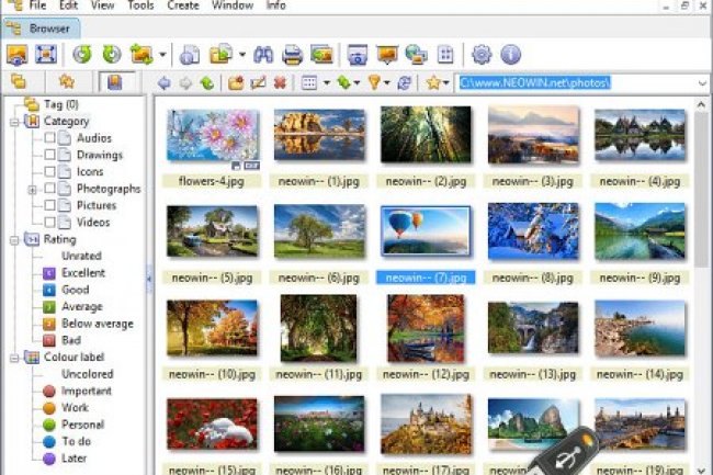 XnView v2.51.6 Complete + Portable