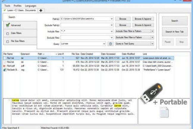FileSeek Pro 6.6.0 + Portable