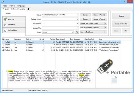 FileSeek Pro 6.6.0 + Portable