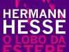 O Lobo da Estepe - Hermann Hesse