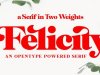 Felicity Font Family
