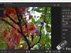 Movavi Picverse v1.8.0 + Portable
