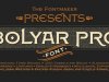 FM Bolyar Pro Font Family