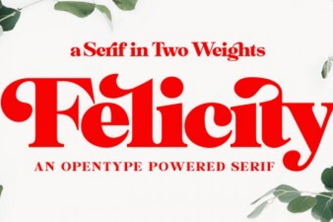 Felicity Font Family