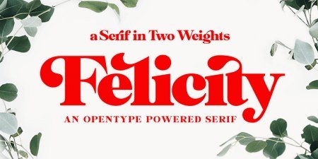 Felicity Font Family