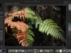 Darktable v4.4.1