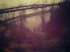 Paradise Walk - Paradise Walk (2014)