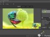 Helicon Focus Pro 7.7.6 + Portable