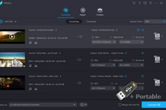 Vidmore Video Converter 1.3.8 + Portable