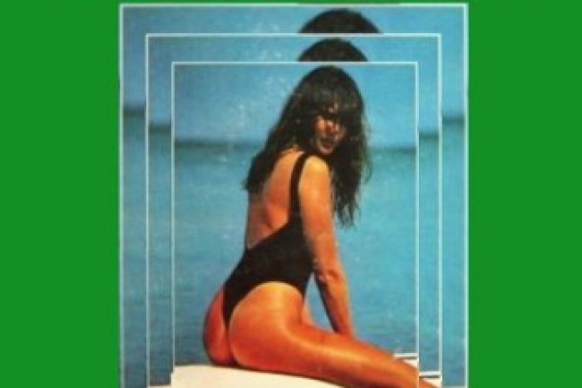 Os Melhores Temas Nacionais das Novelas Vol. 2 (1980)