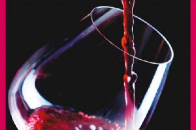 Vinho - Guia Essencial